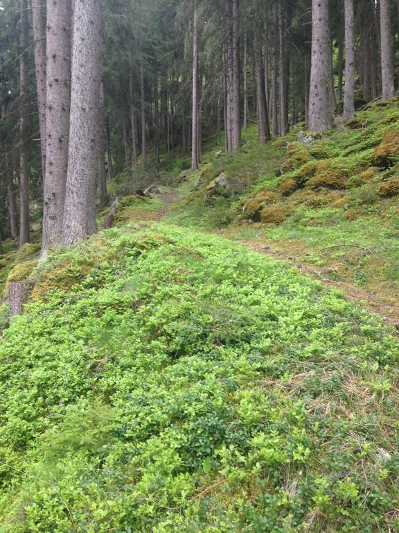 Apart Christa Kaunertal Bagian luar foto