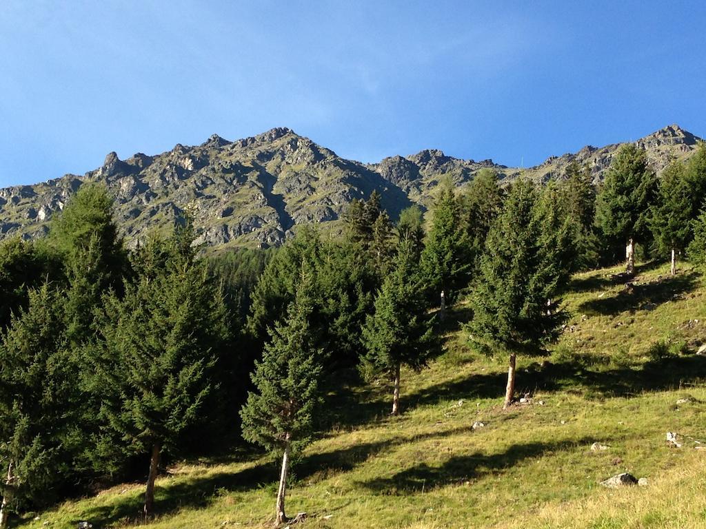 Apart Christa Kaunertal Ruang foto